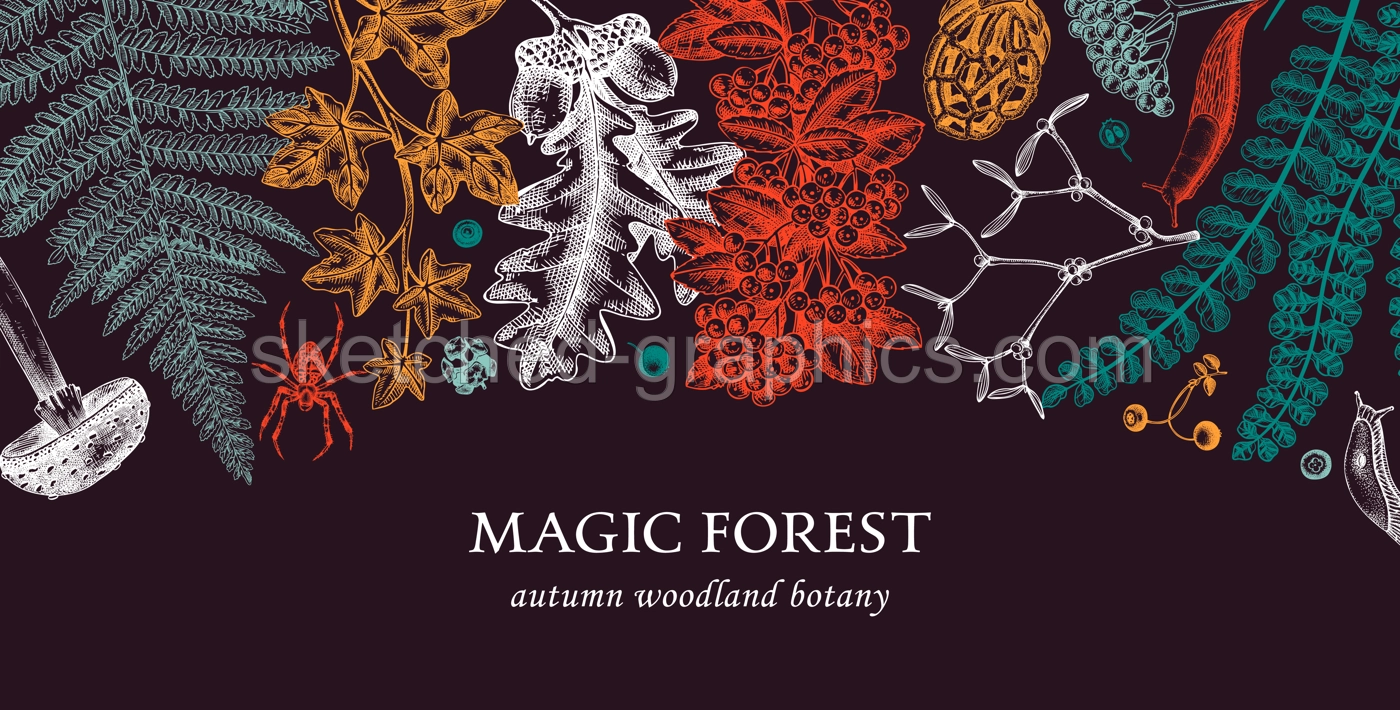 Autumn Botanical Banner Illustration